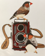 Capture the Moment – Zone VII Online Photography Contest