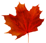 Invitation to November 15 Club Meeting