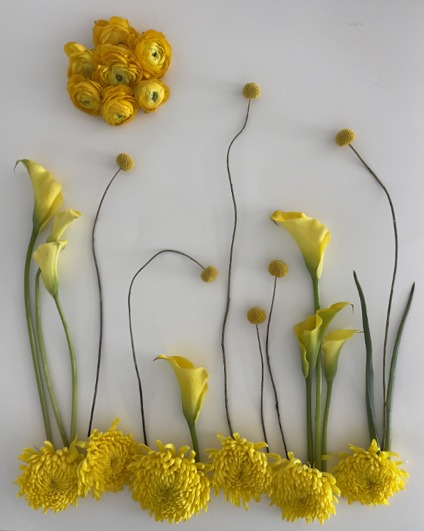 flat lay photography show entry